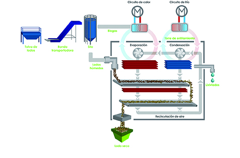 Wastewater to Biomass